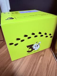 포켓몬 30주년 기념 어서오세요! 피카츄 1/1 전용 BOX 타카라 토미 한정