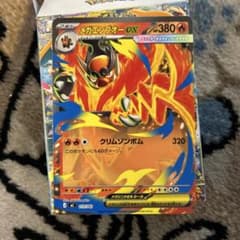 m63215518992_1.jpg?1767251159