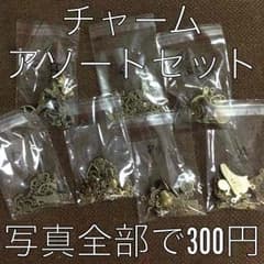 チャーム 写真全部セット アンティーク 金古美  pkbのサムネイル