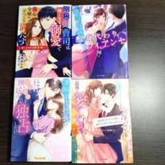 tl小説4冊セット ベリーズ文庫他 恋愛小説セット（3冊） - メルカリ