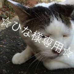 ひな様専用ページのサムネイル
