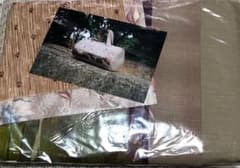 むえ ふくいかよ　丸マルバック　パッチワークのサムネイル