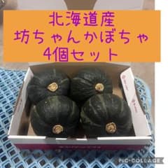 北海道産 坊ちゃんかぼちゃ 4個セットのサムネイル