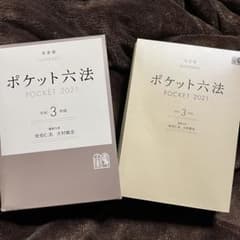 ポケット六法 令和3年版のサムネイル