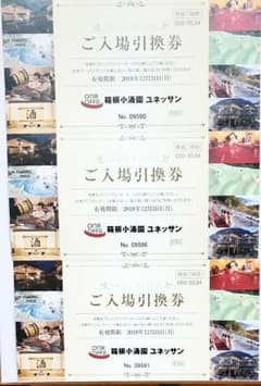 箱根ユネッサン 入場引換券3枚組☆送料無料のサムネイル
