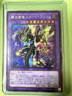 遊戯王 覇王眷竜スターヴヴェノム シークレットレア アニメーションクロニクルのサムネイル