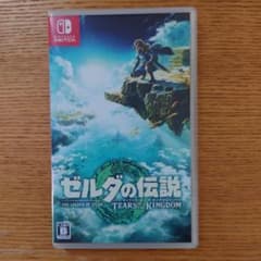 ゼルダの伝説 ティアーズ オブ ザ キングダムのサムネイル