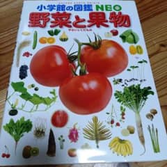 小学館の図鑑/野菜と果物のサムネイル