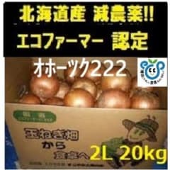 北海道産玉ねぎ20kg2Lサイズ ※210のサムネイル