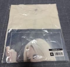 Mサイズ‼️ちゃんみな(CHANMINA)AOD FINAL Tシャツ 東京ドーム - メルカリ