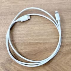 【Apple 純正品】 Lightningケーブル タイプC 充電 (2)