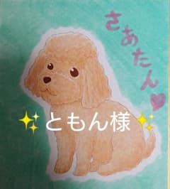 ともん様ご確認ページ✨のサムネイル