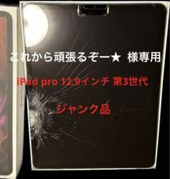 ジャンク品 iPad pro 12.9インチ 第3世代のサムネイル