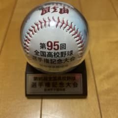 第95回全国高校野球選手権記念大会 記念ボールのサムネイル