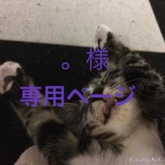 。様。専用ページのサムネイル