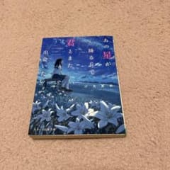 あの星が降る丘で、君とまた出会いたい。のサムネイル