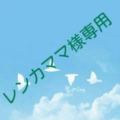 レンカママ様専用！のサムネイル