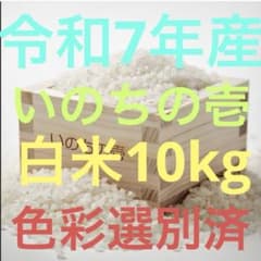 栃木県産農家直売いのちの壱白米10kgのサムネイル