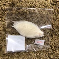 ミニ スケルトン リーフ 白 ホワイトのサムネイル