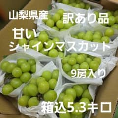 3️⃣ 山梨県産 シャインマスカット 9房入り 箱込5.3キロ - メルカリ