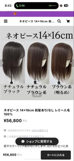 最終値下げ ネオピース 14×16cm 前髪あり ナチュラルブラウン 分け目減のサムネイル