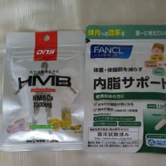 内脂サポートのサムネイル