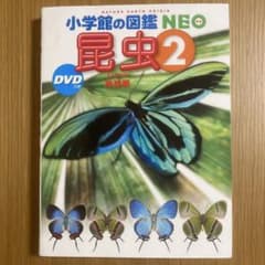 小学館の図鑑 NEO 昆虫2 地球編 DVDつき【表紙カバー有り】のサムネイル