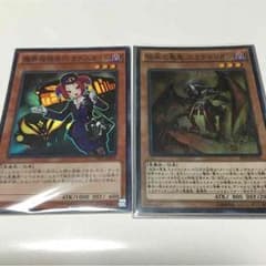 スカラマリオンガイドセットのサムネイル