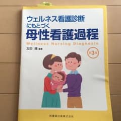 ウェルネス看護診断にもとづく母性看護過程のサムネイル