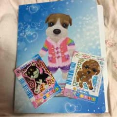 ワンタメのサムネイル