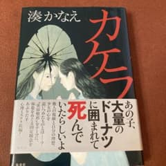カケラのサムネイル