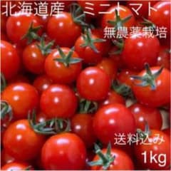 北海道産　ミニトマト　1kg 無農薬栽培のサムネイル