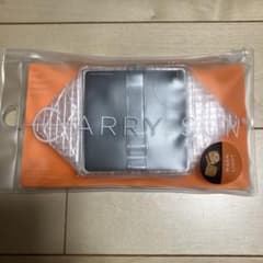 CARRY THE SUN ランタンのサムネイル