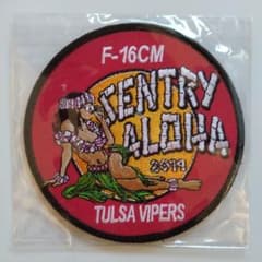 125th fs SENTRY ALOHA 2014 commemorative patch