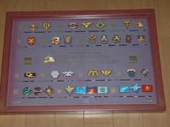 機動戦士ガンダム 30周年 エンブレムピンズコレクション