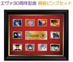 [신세기 에반게리온] 30주년 기념 액자 핀즈 세트②