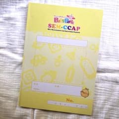 ベビーパーク　セムキャップノート　発達段階表のサムネイル