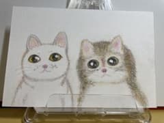 色鉛筆原画ほっこり猫ちゃん白猫さんと。のサムネイル