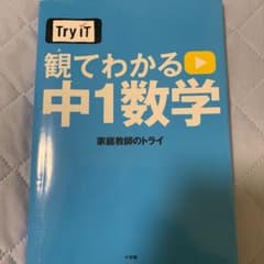 Try IT(トライイット) 観てわかる 中1数学のサムネイル