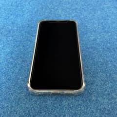 iPhone12Pro完全ジャンク品扱い部品取りにお使い下さい！128GB - メルカリ