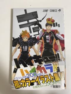 ハイキュー　公式カラーイラスト集のサムネイル