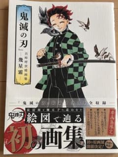 鬼滅の刃 吾峠呼世晴画集 幾星霜のサムネイル