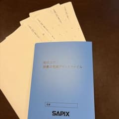 ㉔か　大変重宝　SAPIX SAPIX 語彙力強化プリントファイル 総仕上げ❣️ m63311278415_1.jpg?1775296724