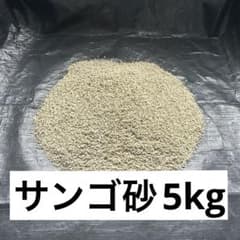 水槽用 サンゴ砂 細目 5kgのサムネイル