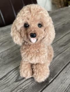 動物ぽんぽん　Aya.flower様専用のサムネイル