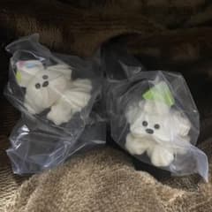 ホイップわんちゃんのくらし　おめかし　キウイ　カラースプレーのサムネイル