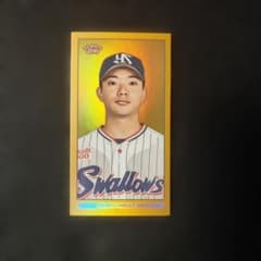 NPB 206 東京ヤクルトスワローズ 木澤尚文 限定カード - メルカリ