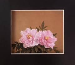 森本草介、【牡丹】、希少な額装用画集画、新品高級額 額装付、状態良好 森本草介、【牡丹】、希少な額装用画集画、新品高級額 額装付、状態