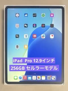 iPad Pro 12.9インチ 256GB Wi-Fi＋セルラー - メルカリ