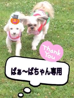 ばぁ〜ばちゃん専用のサムネイル